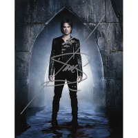 Ian Somerhalder Autographed 8"x10" (The Vampire Diaries)