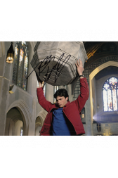 Tom Welling Autographed 8"x10" (Smallville)