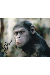 Andy Serkis Autographed 8"x10" (Planet of the Apes)
