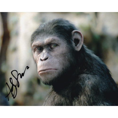 Andy Serkis Autographed 8"x10" (Planet of the Apes)