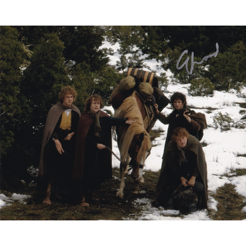 Elijah Wood Autographed 8"x10" (Lord of the Rings)