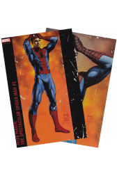 Peter Parker: The Spectacular Spider-Man #1 Boston Comic Con Combo Edition